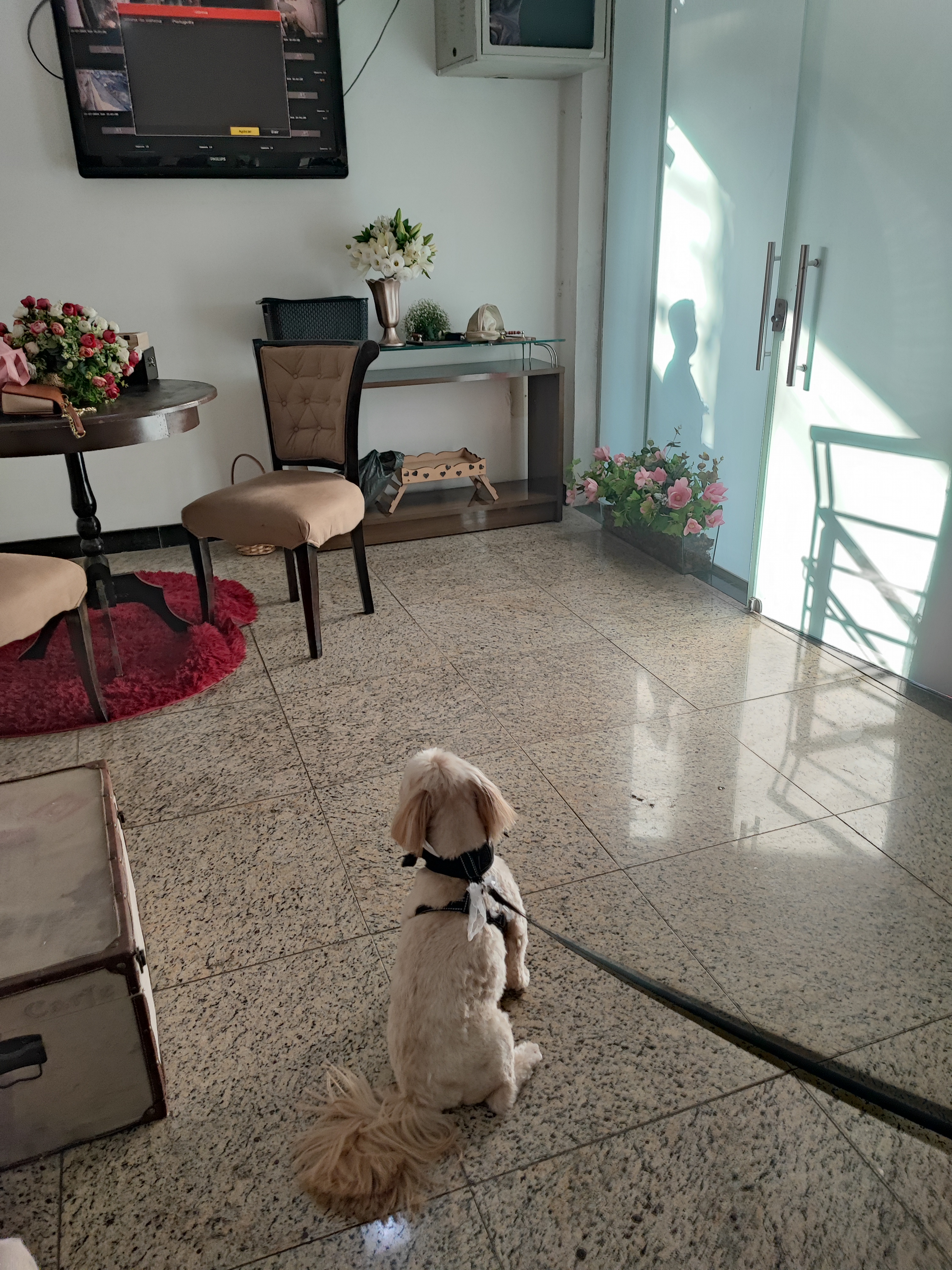 Cerimoniau Pet da Aumor de Tias — foto 2