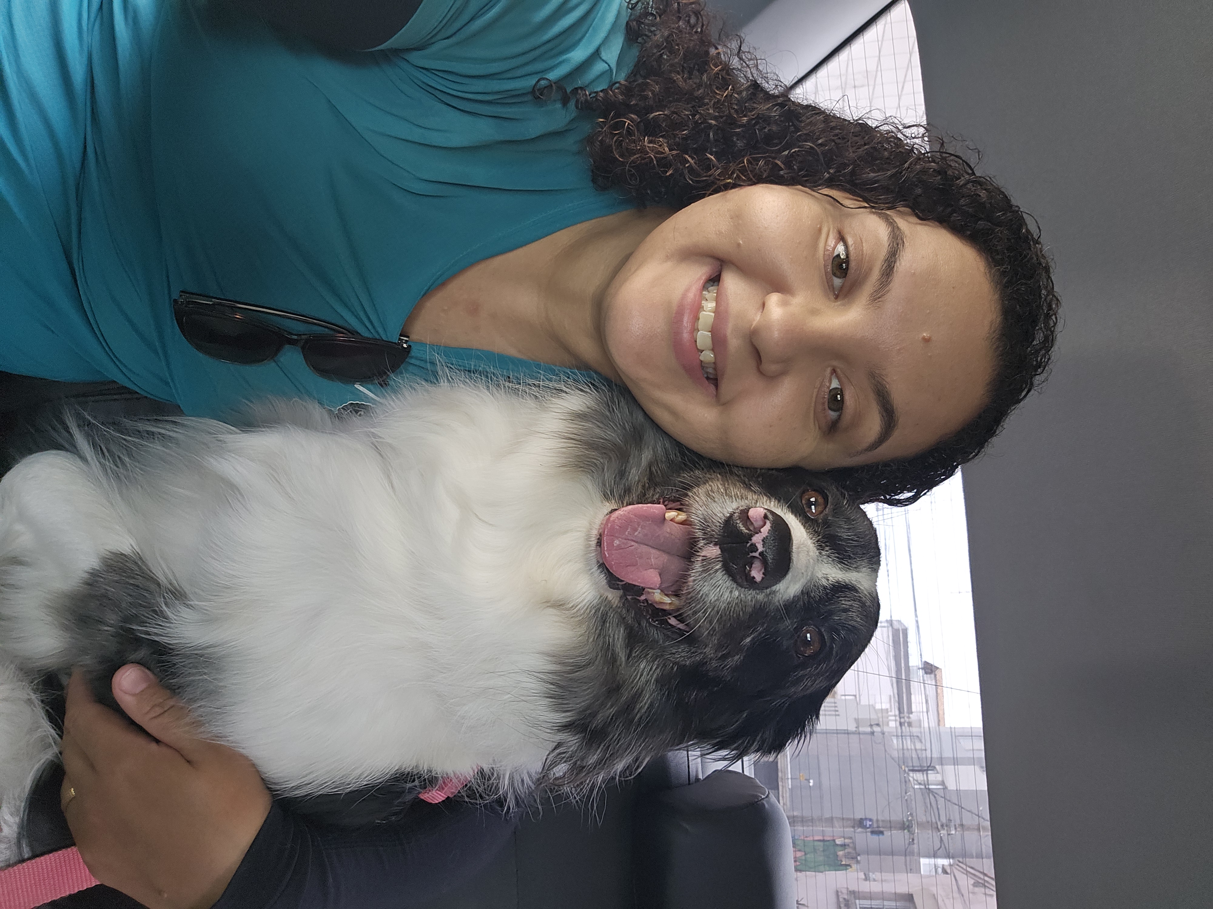 Táxi Pet Premium da Aumor de Tias — foto 1