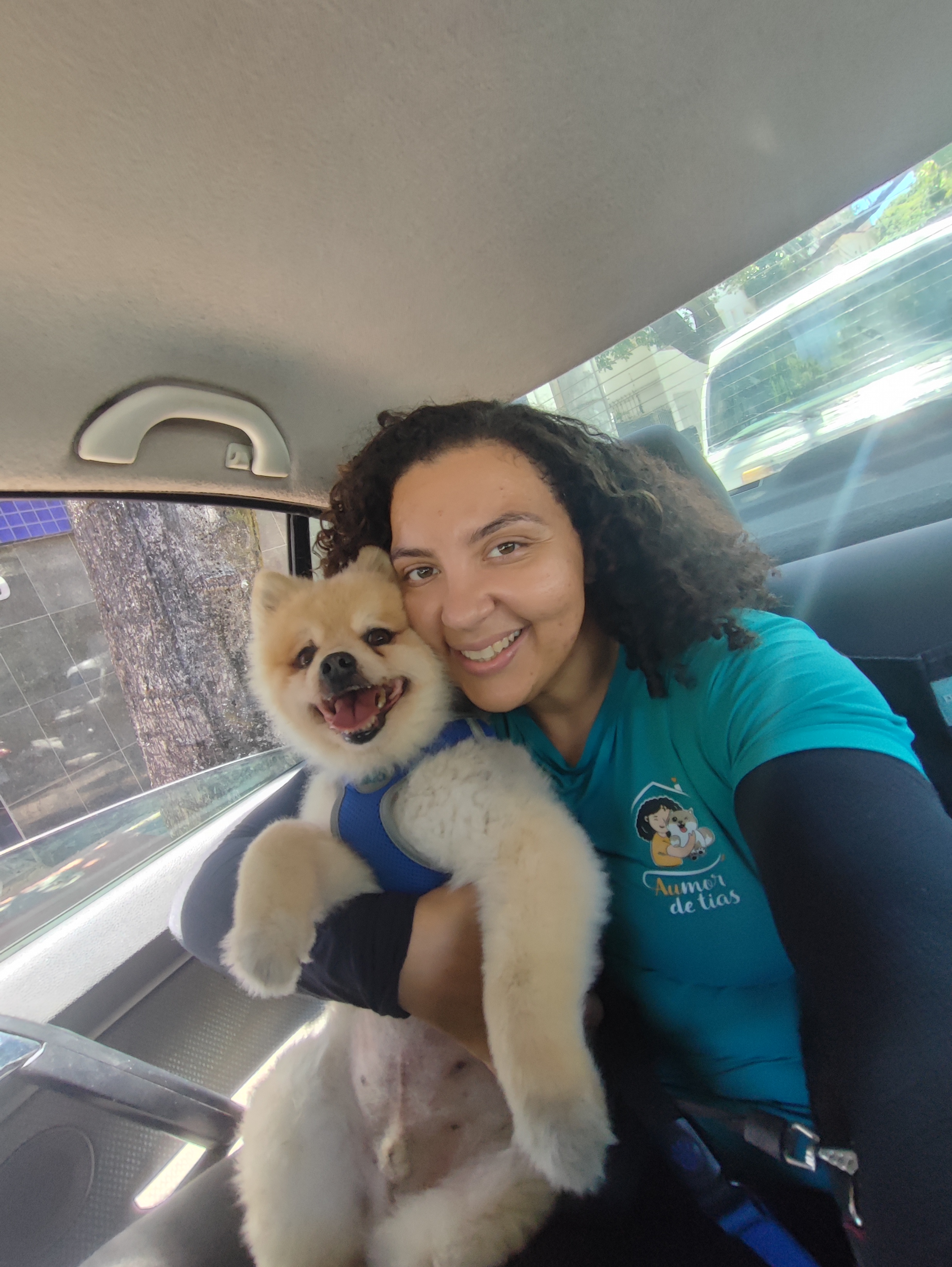 Táxi Pet Premium da Aumor de Tias — foto 2