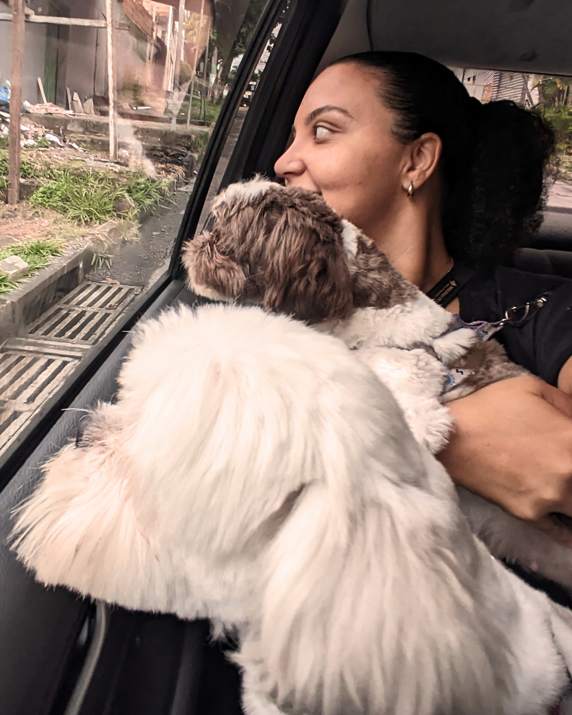 Táxi Pet Premium da Aumor de Tias — foto 3
